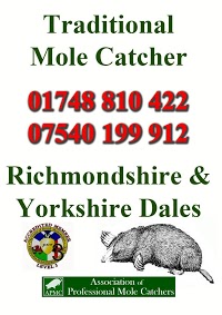 North Yorkshire Moles 373033 Image 3